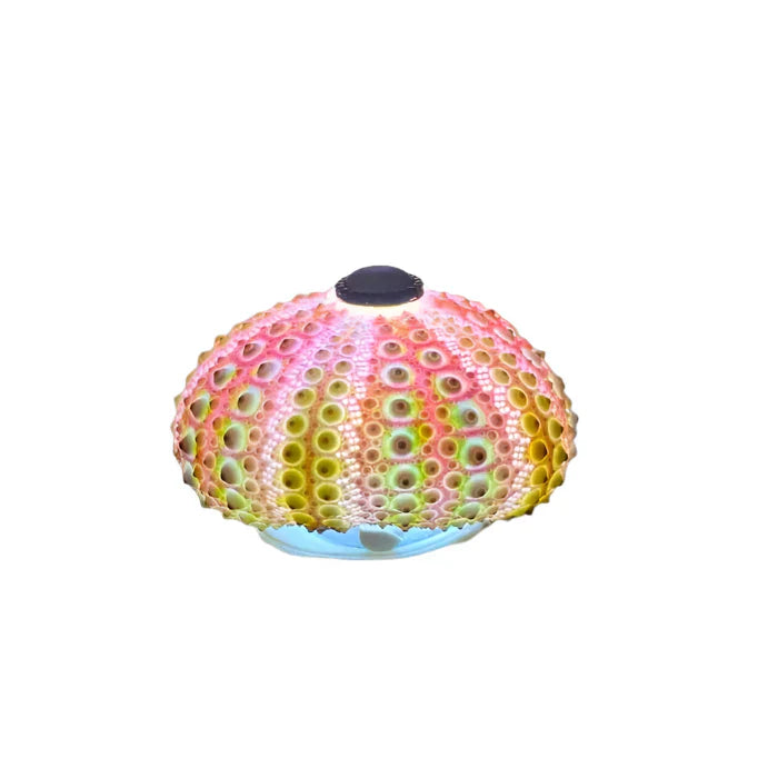 CoastalGlow - DIY pinnsvin nattlys