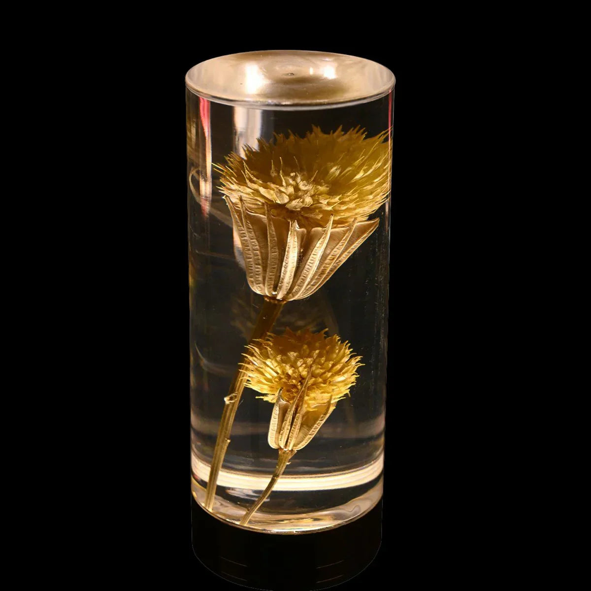 FloraGlow - LED skrivebordslampe med gjennomsiktig sylindrisk sokkel fylt med blomster