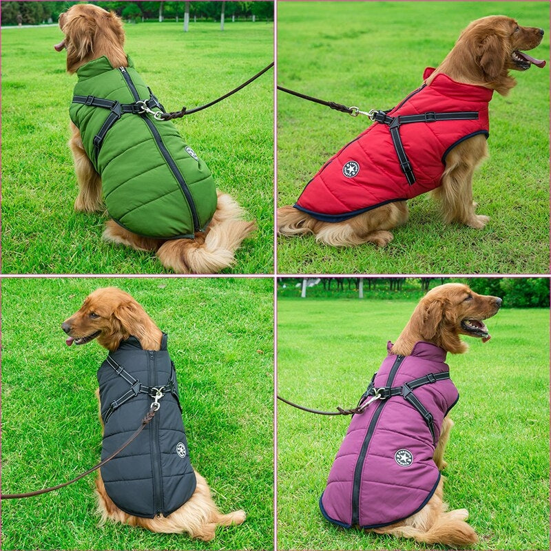 GoldPaw - Vattert hundejakke med innebygd sele for Golden Retrievere