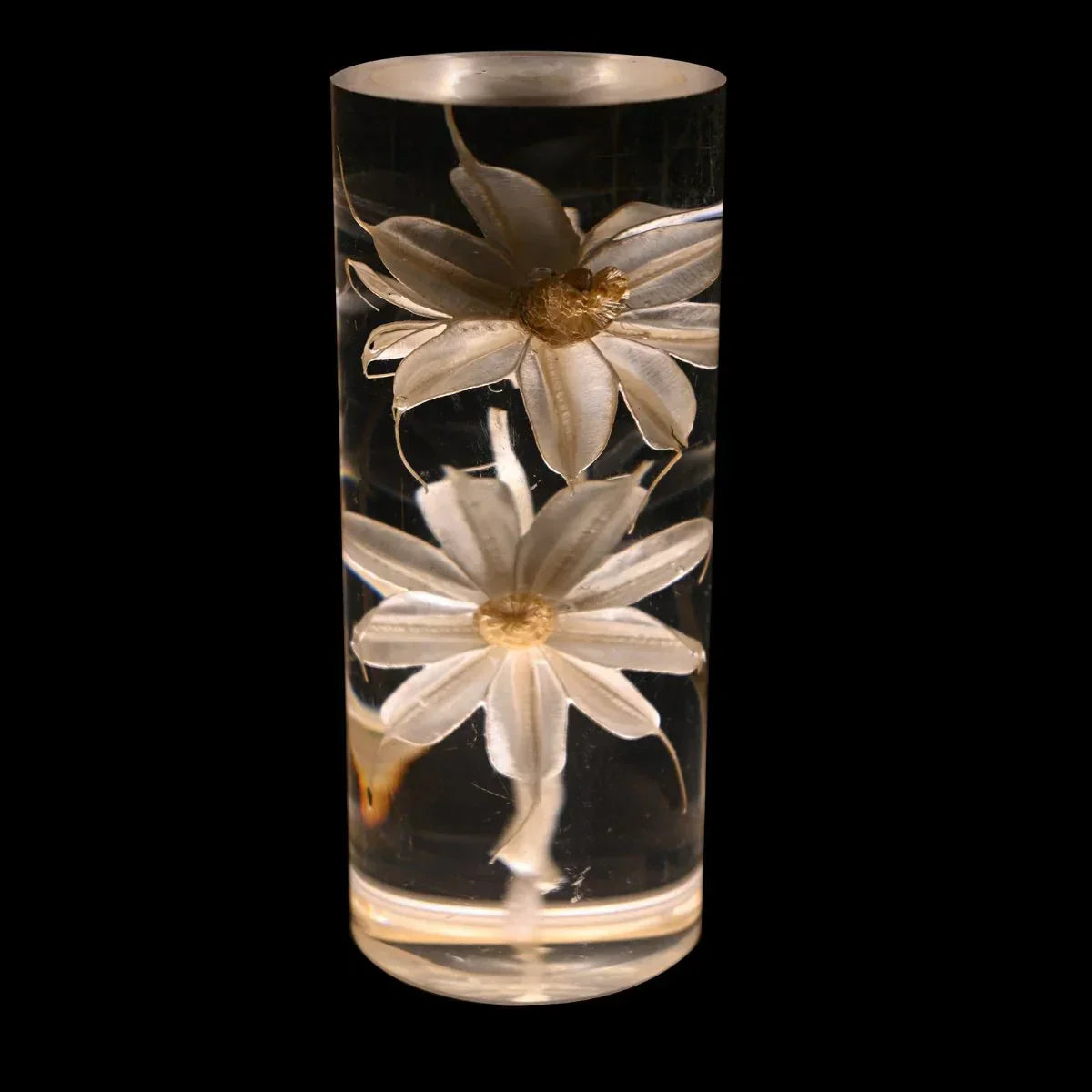 FloraGlow - LED skrivebordslampe med gjennomsiktig sylindrisk sokkel fylt med blomster