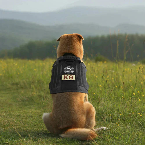 PawsSecur Taktisk Vest for hunder – Anti-pull sele med justerbare paneler