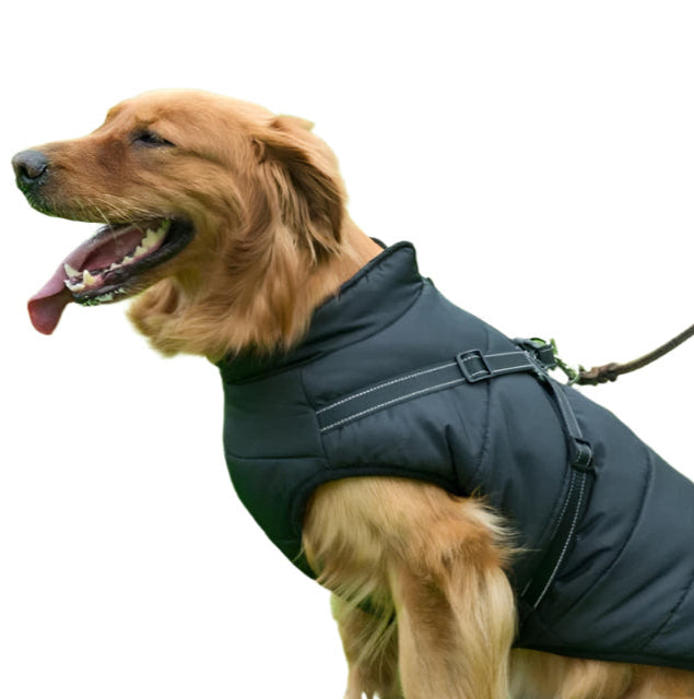 GoldPaw - Vattert hundejakke med innebygd sele for Golden Retrievere