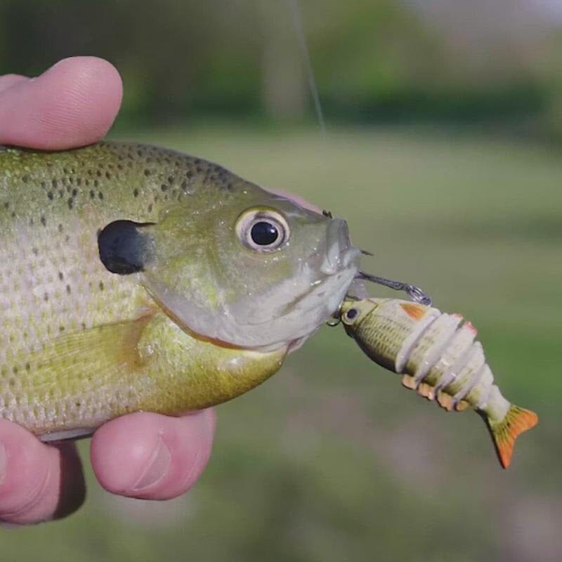 Små fiskesluk - perfekt for presisjonsfiske