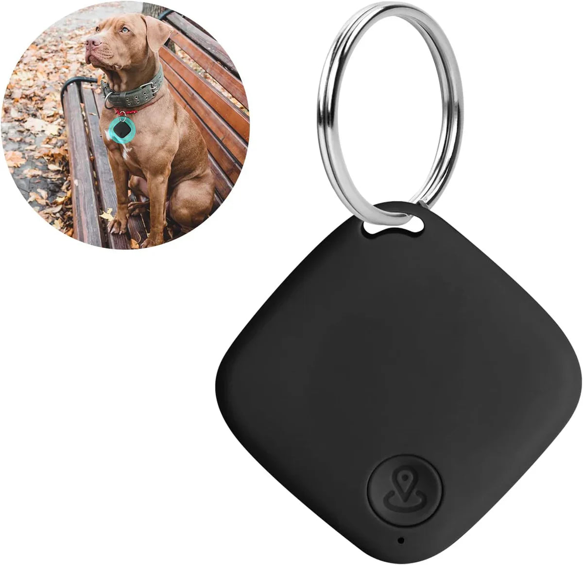 PetTrack GPS Tracker for katter og hunder – Nøyaktig og enkel GPS-sporing