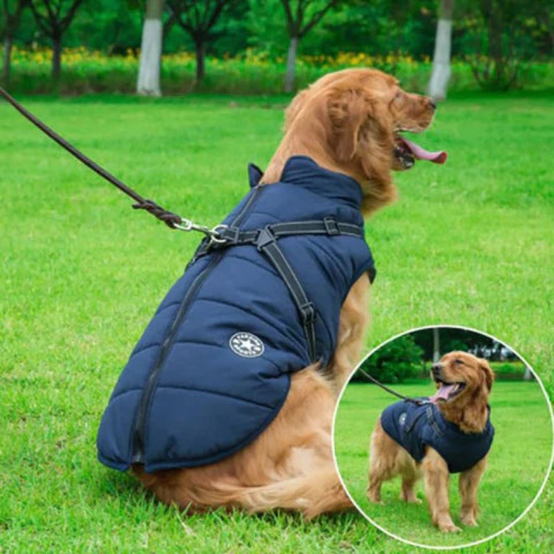 GoldPaw - Vattert hundejakke med innebygd sele for Golden Retrievere