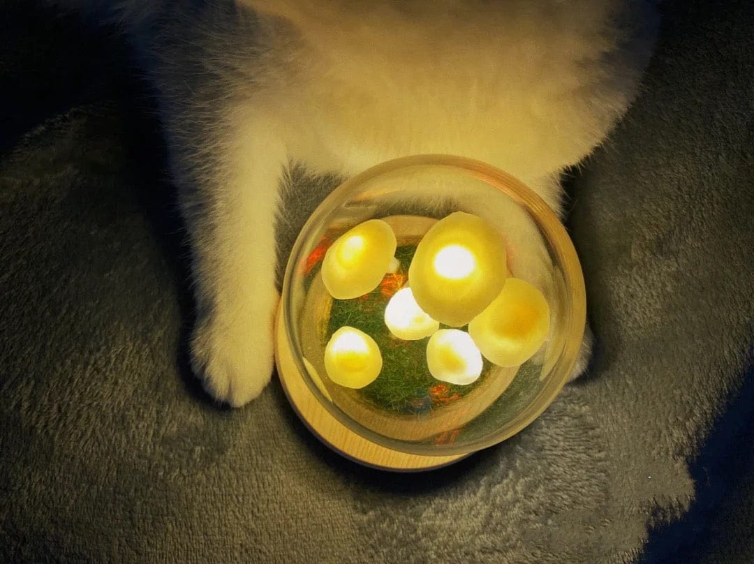 LumiTerra DIY sopplys i glass