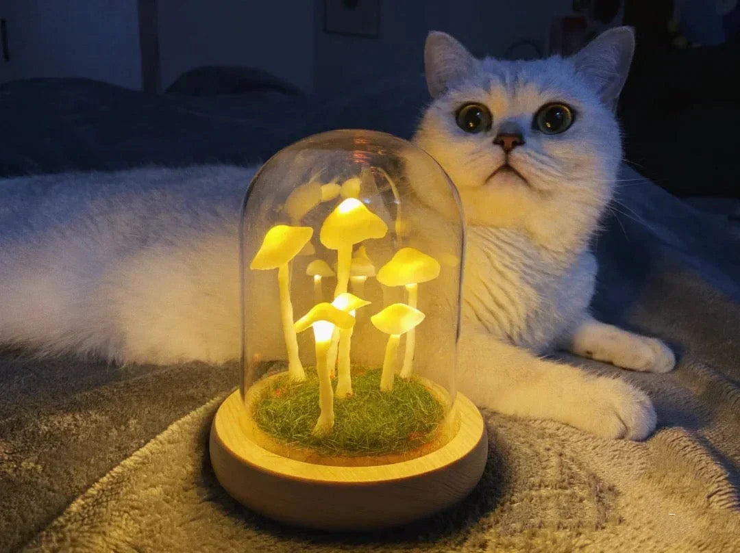 LumiTerra DIY sopplys i glass