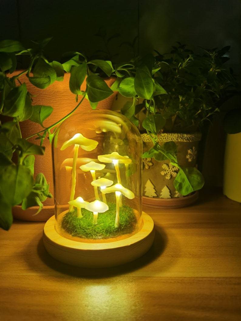 LumiTerra DIY sopplys i glass