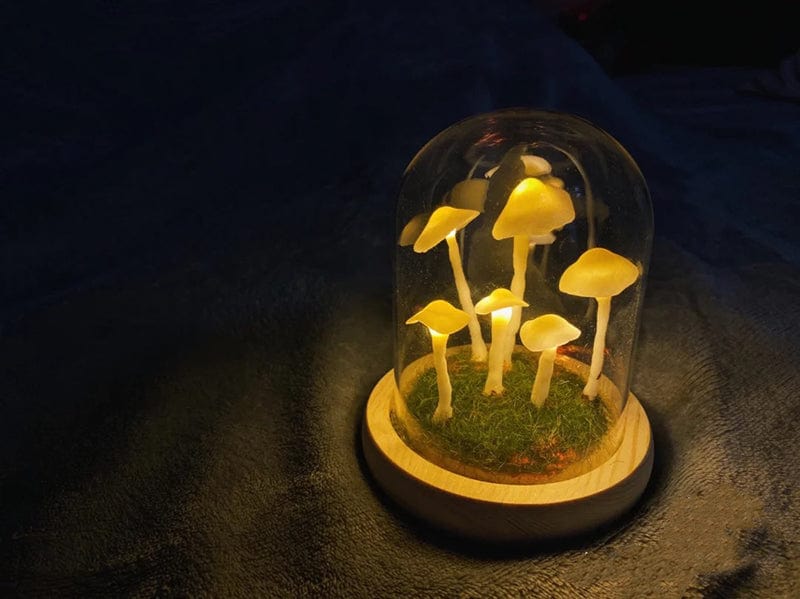 LumiTerra DIY sopplys i glass