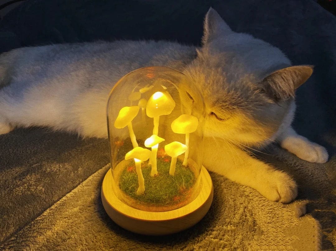 LumiTerra DIY sopplys i glass
