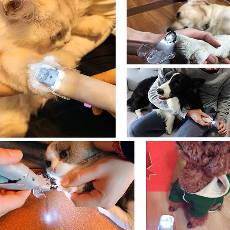 Beste negleklipper for hund med raske sensorer