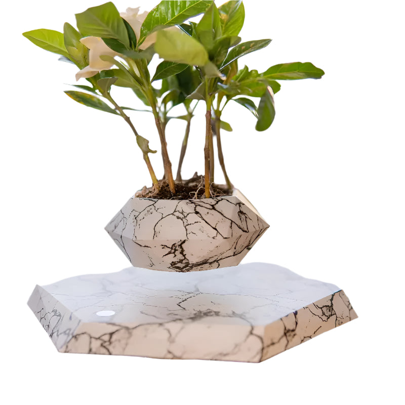 GeoSpin – Roterende geometrisk plantekasse