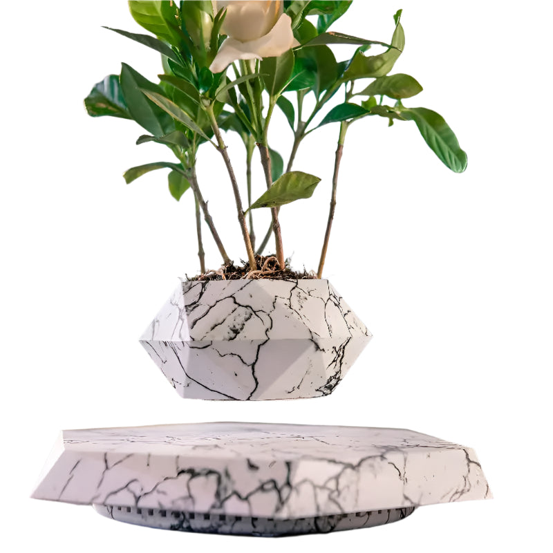 GeoSpin – Roterende geometrisk plantekasse