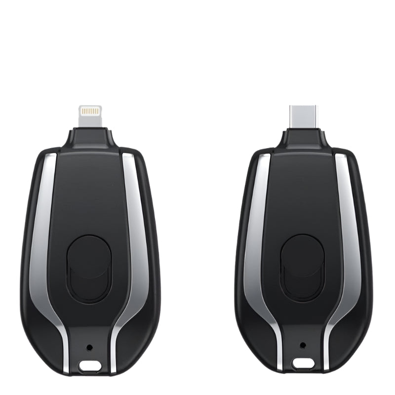 DataSwift - Kompatibel USB-minnepinne med dobbel port
