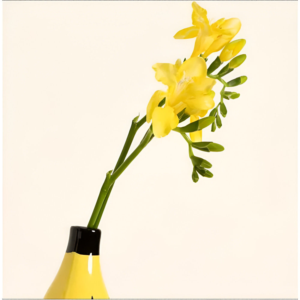 FormaBana moderne dekorativ vase