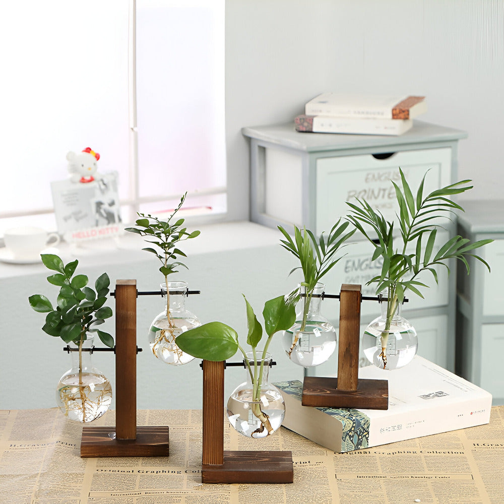 RootRise – Moderne plantestativ i tre og glass