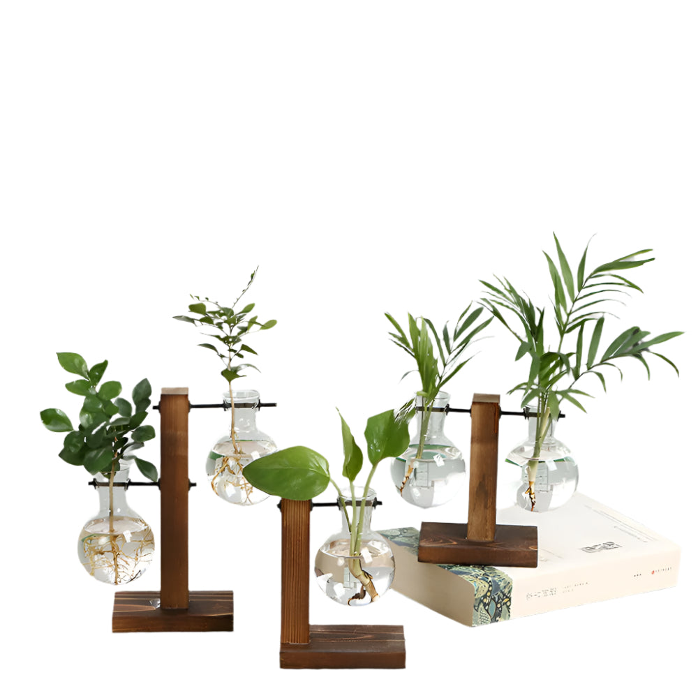 RootRise – Moderne plantestativ i tre og glass