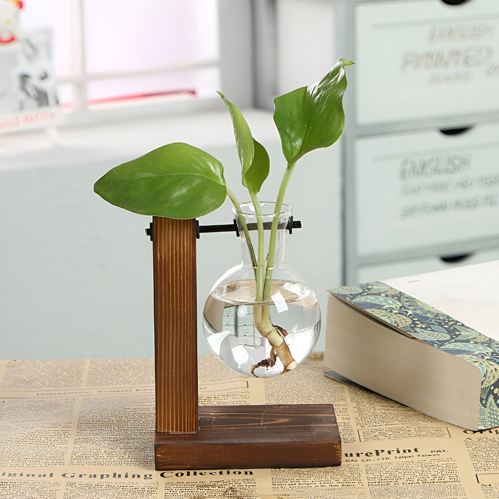 RootRise – Moderne plantestativ i tre og glass