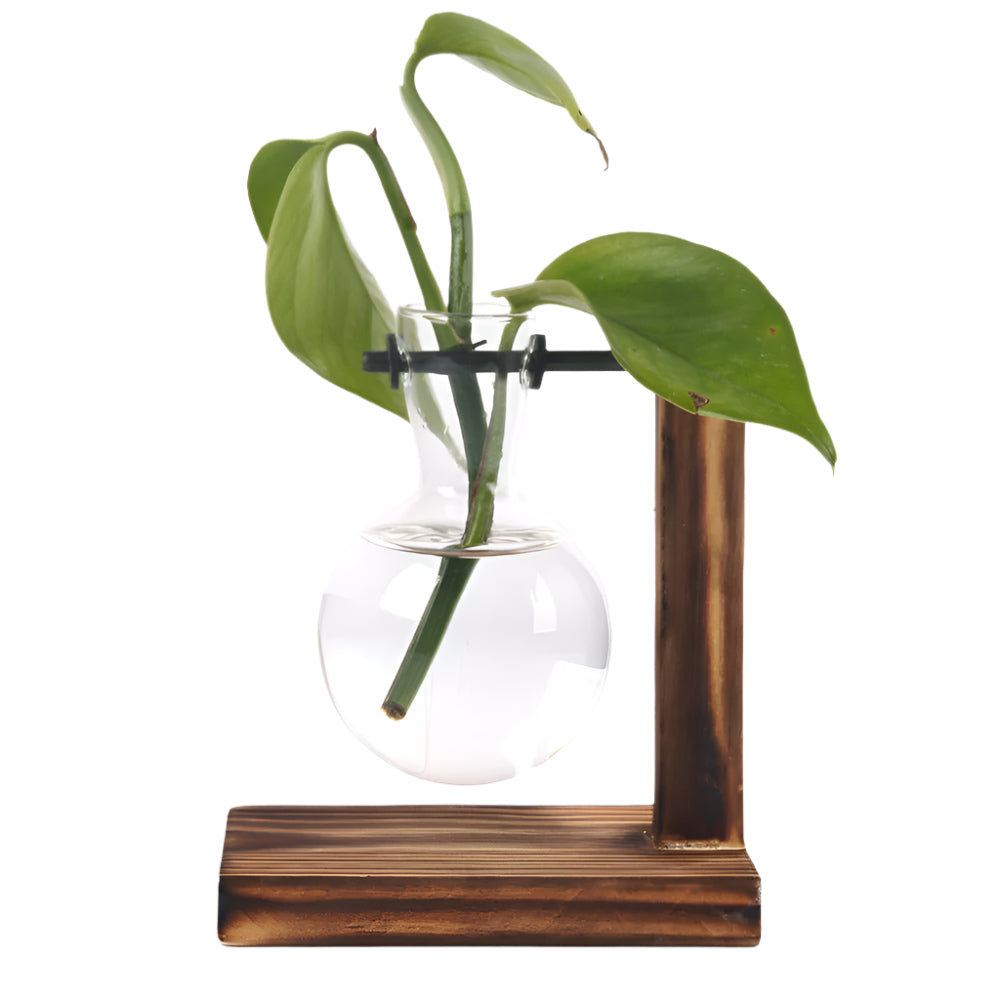 RootRise – Moderne plantestativ i tre og glass