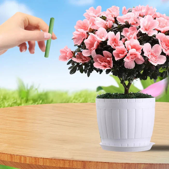 EcoBloom Nutrients – Bærekraftig gjødsel for enkel og bærekraftig plantestell