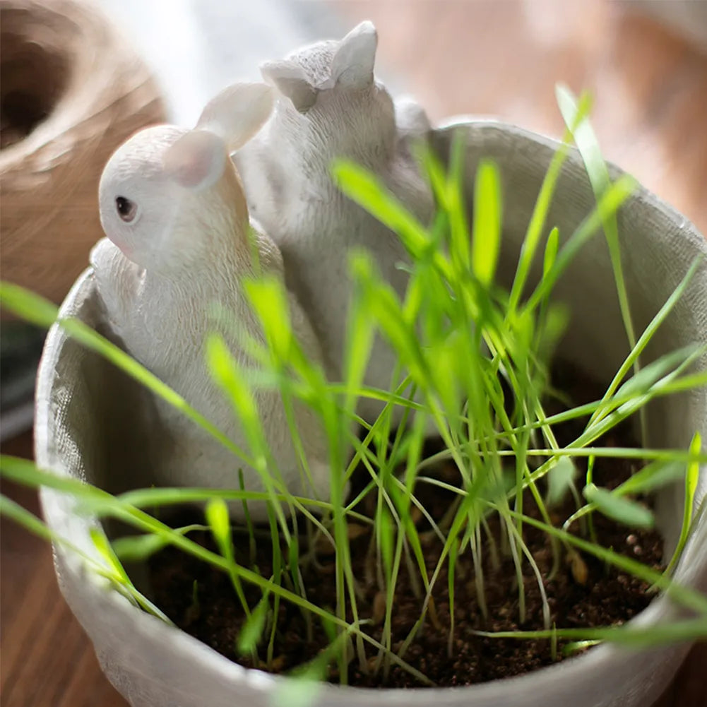 MiniGreen Lommeplanter – Kompakt plantepotte for innendørs og utendørs bruk
