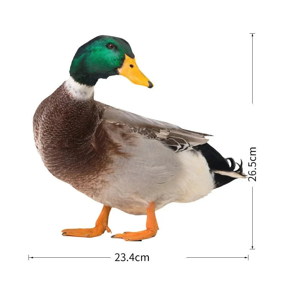 DuoDuck Realistisk dobbeltsidig skulptur av stokkand