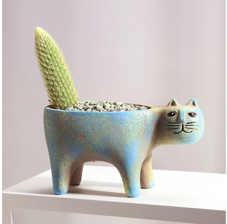 PurrBloom - elegante katteformede planter til sukkulenter