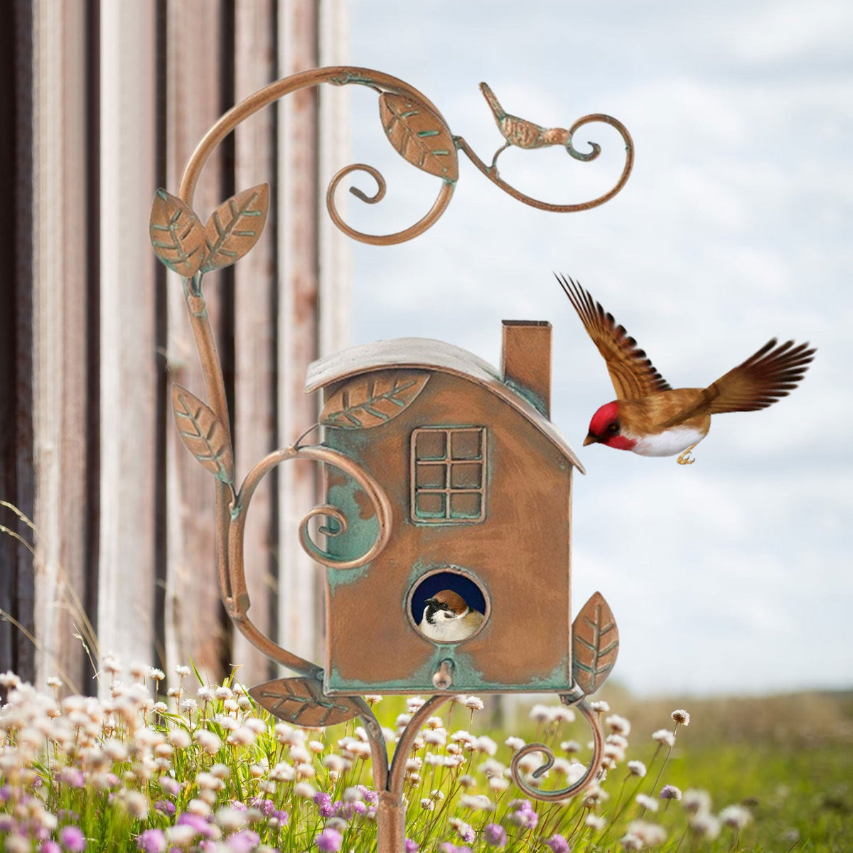 BirdHaven dekorativ fuglekasse for hagen