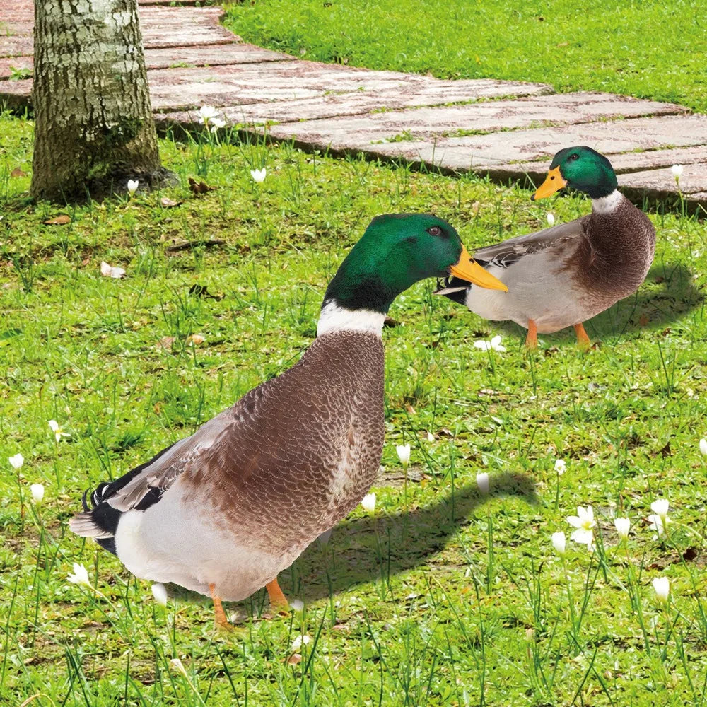DuoDuck Realistisk dobbeltsidig skulptur av stokkand