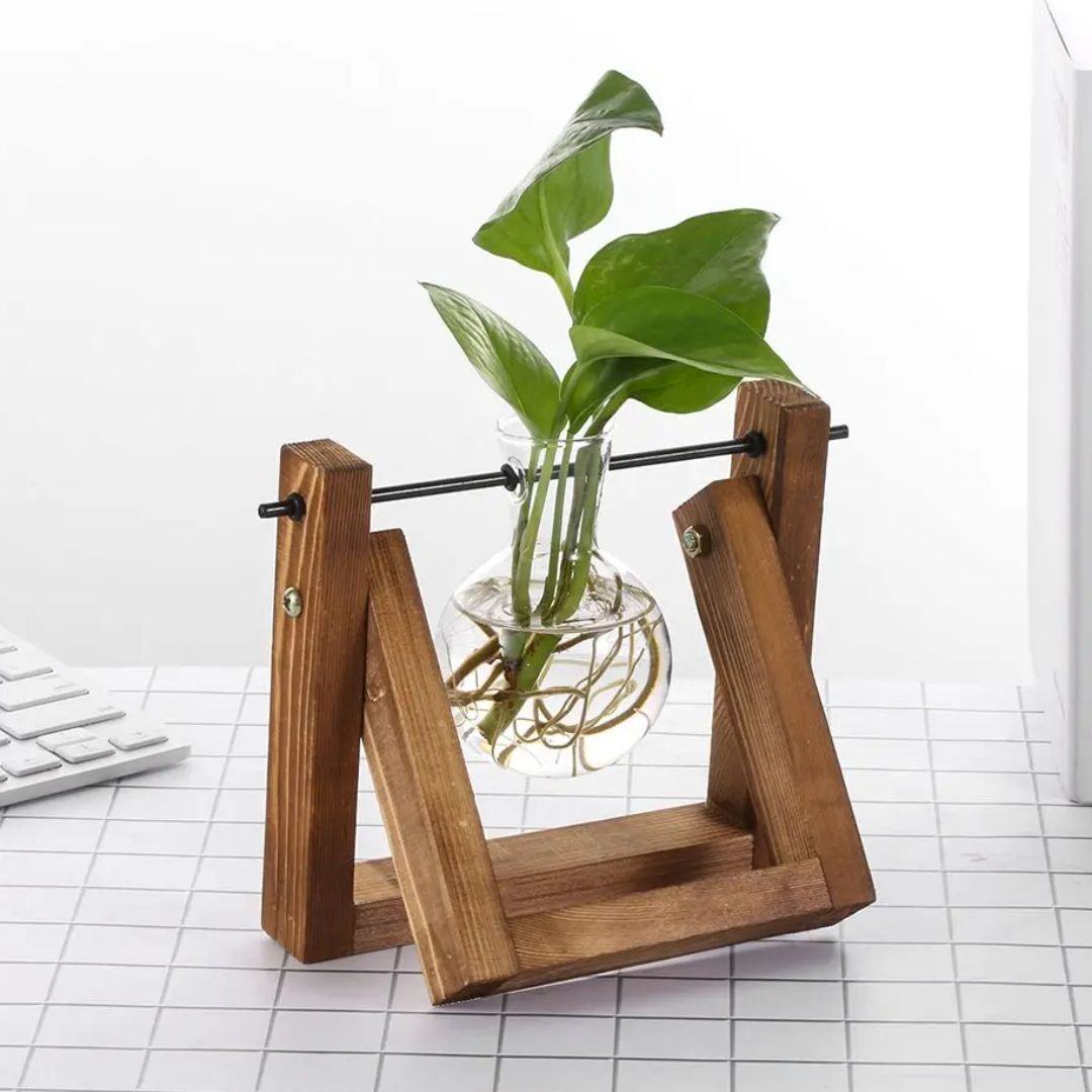 HydroGrow - Stilig hydroponisk potteplante med trebrett