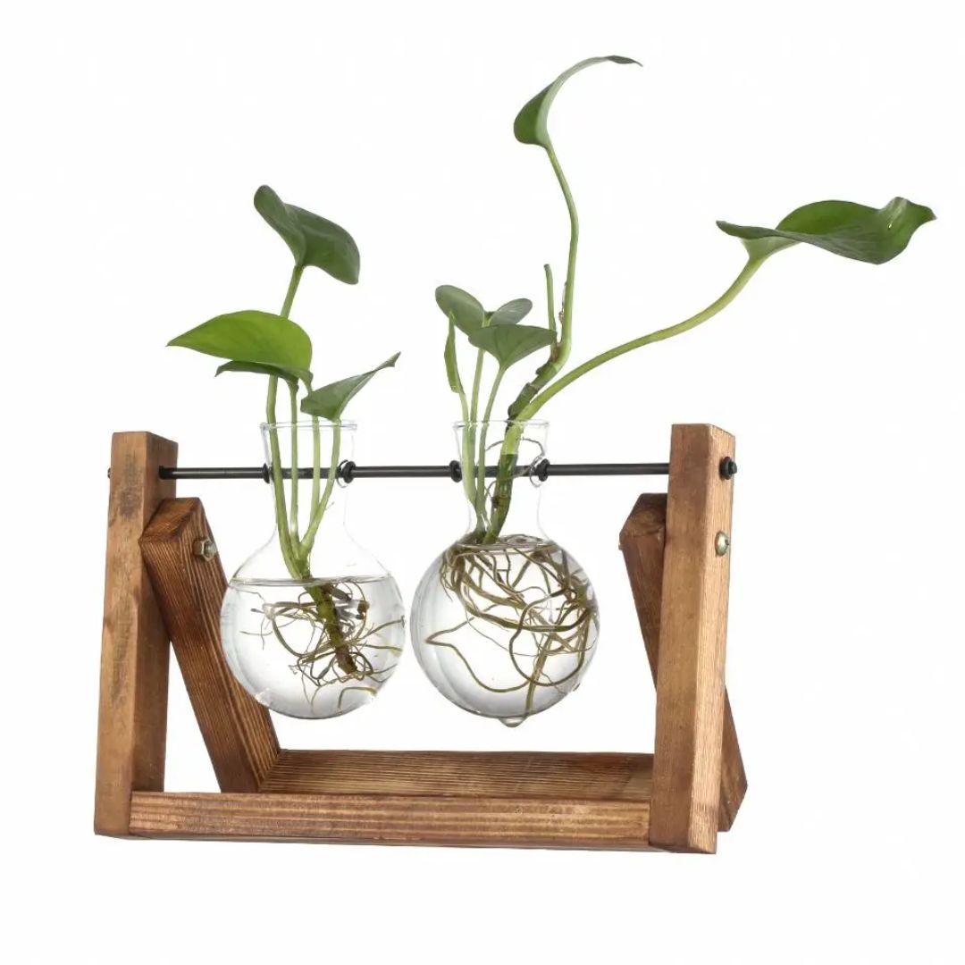 HydroGrow - Stilig hydroponisk potteplante med trebrett