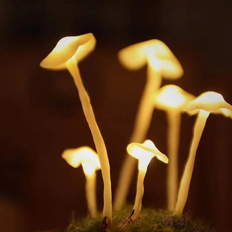 GlowShroom - Omgivelseslampe