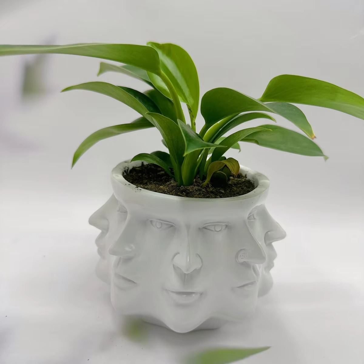 ArtFace 3D Keramisk Blomsterpotte – Moderne Ansiktsdesign Potte