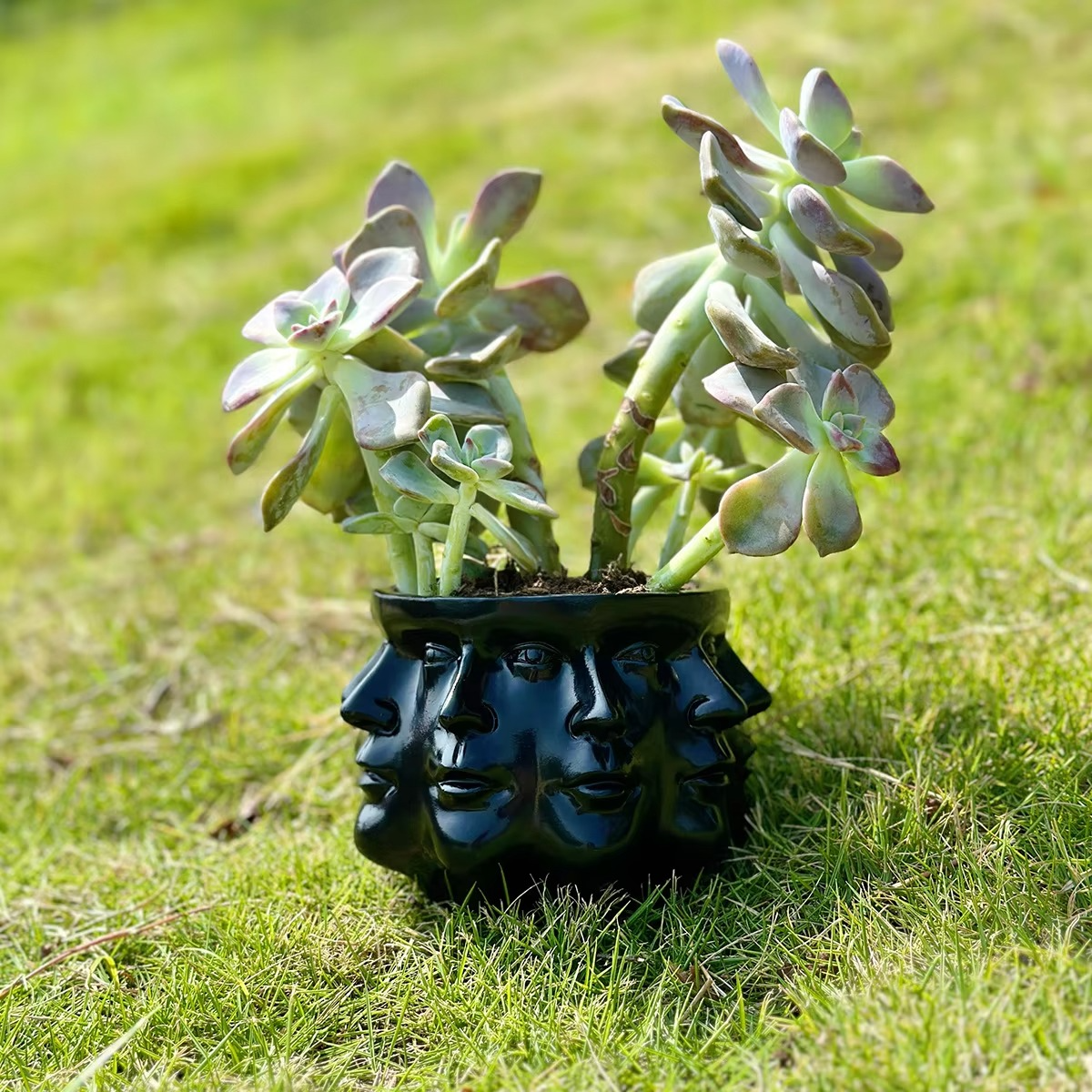 ArtFace 3D Keramisk Blomsterpotte – Moderne Ansiktsdesign Potte
